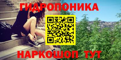 мяу мяу мука Ставрополь